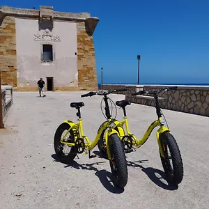 Giallocorallo - Trapani